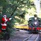 Roaring Camp Railroads: Holiday Tree Walk event image