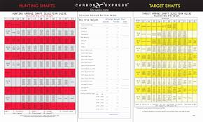 timeless victory spine chart dynamic spine arrow calculator