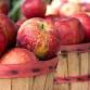 National Apple Harvest Festival