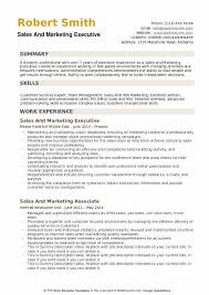 Sales And Marketing Executive Resume Samples Qwikresume