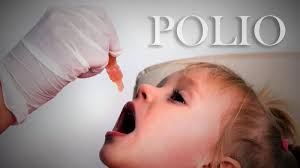 Poliomyelitis (Penyakit Virus Polio) » Info Infeksi Emerging Kementerian  Kesehatan RI
