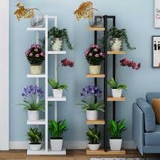 Pin On Plantas