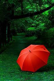 Rainy Afternoon Red Umbrella Umbrella Art Android Wallpaper Art