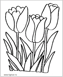 Colorat pentru copii floare carte de colorat narcise meşteşugărie pagini de colorat modele flori de primăvară modele broderii. Desene De Colorat Lalele