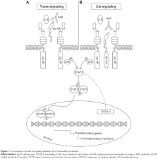 Sarilumab can make you more likely to pick up infections and it can also make them harder to spot. Full Text Profile Of Sarilumab And Its Potential In The Treatment Of Rheumatoid Dddt