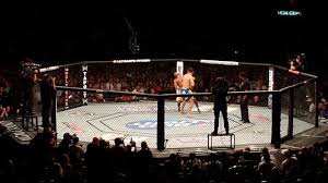 Most rule sets for mixed martial arts (mma) competitions have evolved since the early days of vale tudo. Mixed Martial Arts Wikipedia
