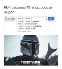 This Is The Way Meme