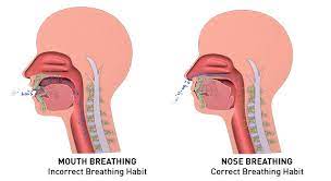 Mouth Breathing Vs Nasal Breathing