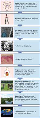 We did not find results for: 2 3 A Cell Is The Smallest Unit Of Life Environmental Biology