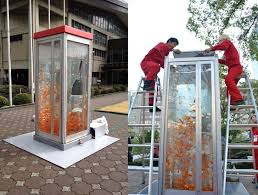 Old Phone Booths Transformed Into Goldfish Tanks On The Streets Of Osaka Goldfish Tank Phone Booth Goldfish