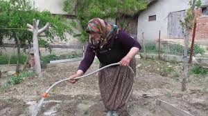 Bag Bahce Isleri Sebze Fidesi Ve Tohumu Nasil Dikilir Youtube