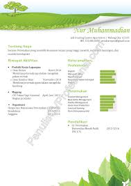 Contoh resume fresh graduate bahasa indonesia. Contoh Curriculum Vitae Fresh Graduate Sarjana Peternakan