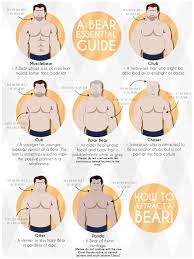 Gay Body Type Chart 2019