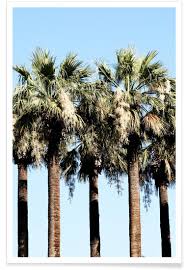 We did not find results for: Light Palm Trees Poster Juniqe