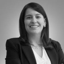 La tenencia de mascotas según el Código Nacional de Seguridad y Convivencia  Ciudadana