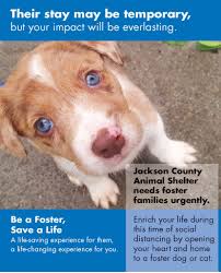 A leader of the no kill movement since 1985. About Fostering Friends Of The Animal Shelter