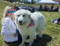 Richmond Animal League’s Woofstock