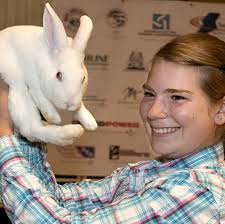 Junior livestock sale: The Buyers