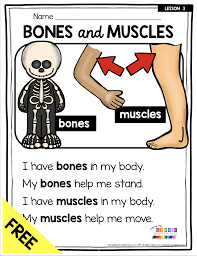 All About My Body And 5 Senses Free Activity Science Unit 1 Keeping My Kiddo Busy Human Body Lesson Plans Kindergarten Lessons Human Body Lesson