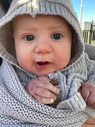 Politics and Democracy Discussion