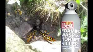 How To Kill A Ground Wasp Or Yellow Jacket Nest Easy Way Youtube