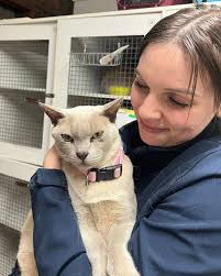 We have drawn the submissions for our guess the weight competition we have  been running in the waiting room. And the closest guess winners are....  Hannah Walker who guessed 684g for the