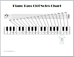 bass notes chart piano note finder stock vector