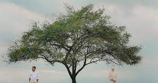 Tante ayu kembali bercanda dengan pemuda itu sesekali lelaki itu menjawil pantat tante ayu. Bekas Kekasih Masih Belum Move On Terhadap Anda 5 Tanda Dia Masih Sayangkan Anda