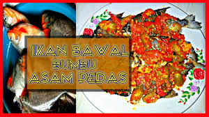 Ada baiknya anda mencoba masakan ikan bawal masak bumbu kecap. Cara Masak Ikan Bawal Merah Bumbu Asam Pedas Blimbing Wuluh Youtube