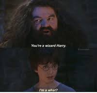00:14:33 a good one, i'd wager, once you're trained up. New Your A Wizard Harry Memes Youre A Wizard Memes