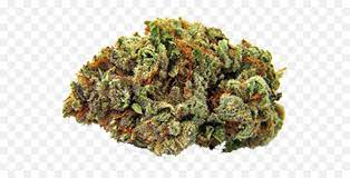 Mike Tyson Png Weed Nug No Background Free Transparent Png Images Pngaaa Com