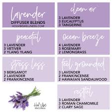 Pin On Aroma
