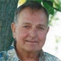 Daniel J. Rountree Obituary June 9, 2013