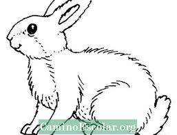 Mewarnai gambar anak kelinci mewarnai animal coloring pages. 10 Tempat Mewarnai Easter Bunny Mewarnai Percuma Kraf 2021