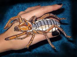 Nov 28, 2019 · while they look like giant spiders, camel crickets do not have fangs and will not bite human beings. Solifugae Camel Spider Wind Scorpions Sun Spider Iron On Patch Etsy