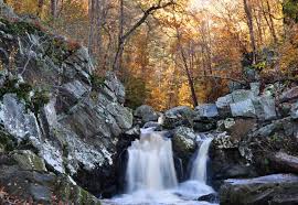 Another waterfall in northern virginia is where scott's run, in fairfax county, spills into the potomac just outside the beltway around washington, dc. Fairfax County Park Authority Offering Guided Hike Through Scott S Run Tysons Corner Va Patch