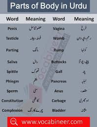 Pin On Learn English Vocabulary
