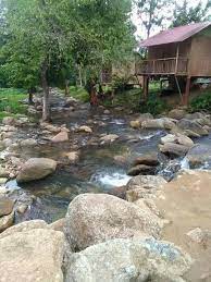 We did not find results for: Lata Bijih Tanah Merah Kem Desa Gemilang Facebook