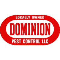 Adults bed bugs, nymphs and eggs can survive sustained hot and cold temperatures, as they will adjust in time. Dominion Pest Control Llc Linkedin