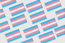 Android users have had trans pride flags via whatsapp since 2019. The Trans Pride Flag Emoji Is Finally Here Them