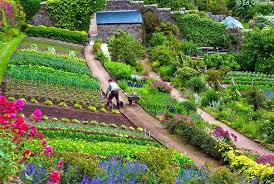 Highlands Page 5 Survival Gardening Dream Garden Sloped Garden