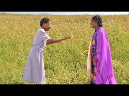 Soil ph 5.5 to 6.5 = purple, or both blue & pink; The Color Purple 1985 The Final Last Ending Scene The Reunion Of Celie And Nettie Hd Youtube