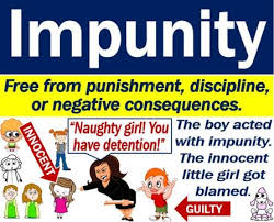 (uncountable) freedom from punishment or retribution. Impunity Definition And Examples Market Business News
