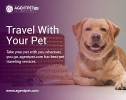 Veterinary schools do not offer extensive training on exotic animals. Travel With Pet Pets Online Pet Travel City Pets