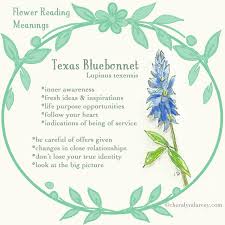 Cheralyn Darcey Flower Reading Oracle Cards Flower Meanings Blue Bell Flowers Flowers