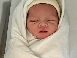 Meet Greater Sudbury's newest bundles of joy