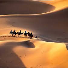 Sahara camel trips is a small local berber family business, an independent and professional morocco tours company that is 100% run and managed by local nomads with an extensive amount of knowledge of this charming and unique african country offering a variety of authentic morocco desert tours to. Shared Marrakech To Fes Desert Tour æ„›æ¨‚éŠ