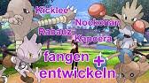 Rihorns hirn ist sehr klein. Rihorn Rizeros Und Rihornior Fangen Entwickeln Pokemon Schwert Und Schild Youtube
