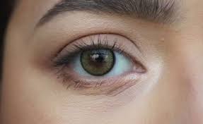 Check spelling or type a new query. The Best And Most Natural Green Colored Contact Lenses