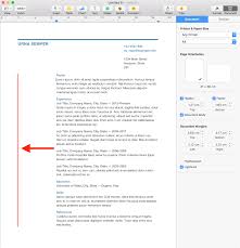 pages' business resume template